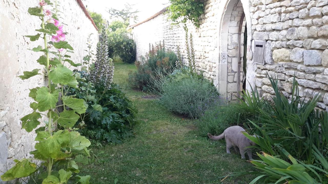 Les Jardins De Clerjotte Acomodação com café da manhã Saint-Martin-de-Ré Exterior foto